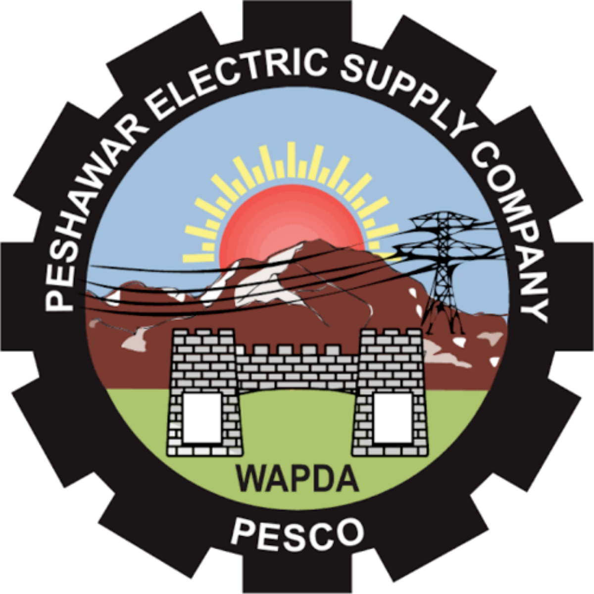 Peshawar Electric Supply Company Limited (PESCO)